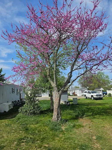 Jackson MHP - Jackson, MI (6)